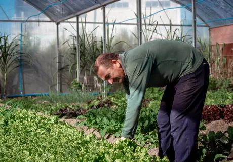 Horta Orgânica