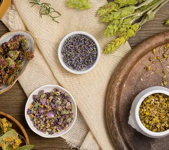 Detox Vida Plena